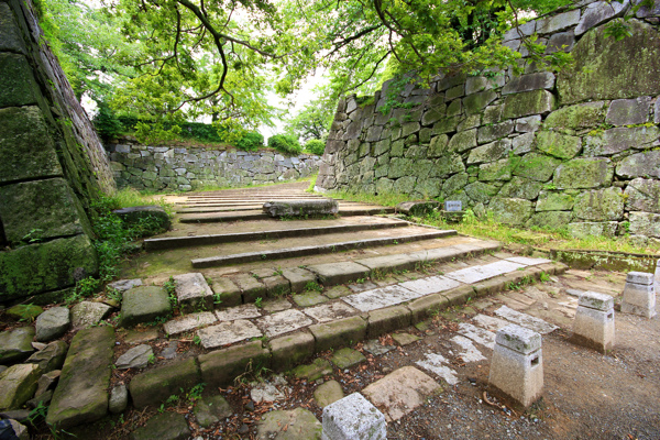 IMG_3339.jpg IMG_3339.jpg