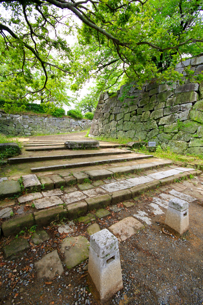 IMG_3340.jpg IMG_3340.jpg