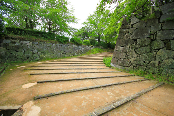 IMG_3341.jpg IMG_3341.jpg