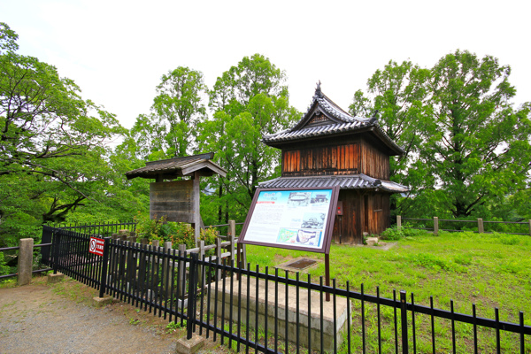 IMG_3358.jpg IMG_3358.jpg