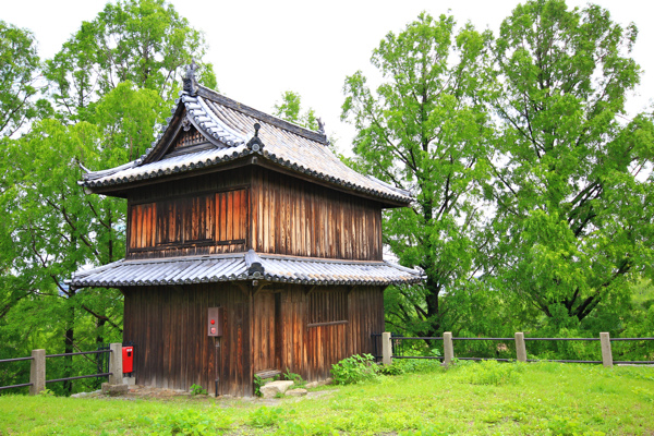 IMG_3361.jpg IMG_3361.jpg