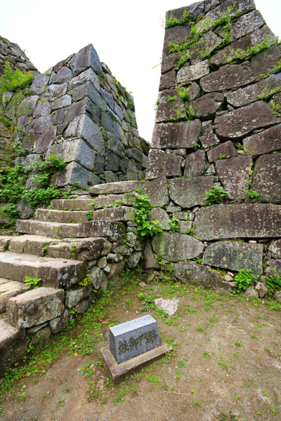 IMG_3372.jpg IMG_3372.jpg