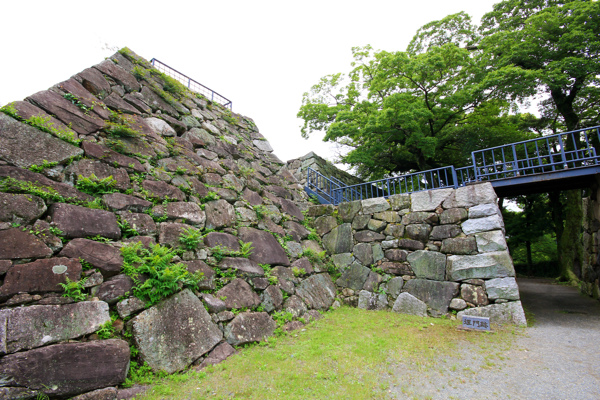 IMG_3378.jpg IMG_3378.jpg