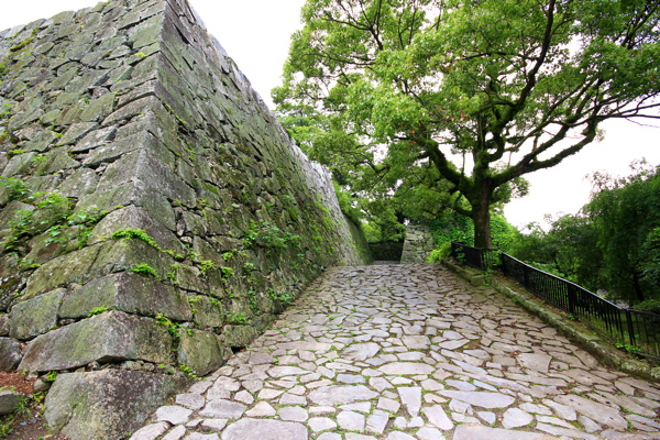 IMG_3405.jpg IMG_3405.jpg