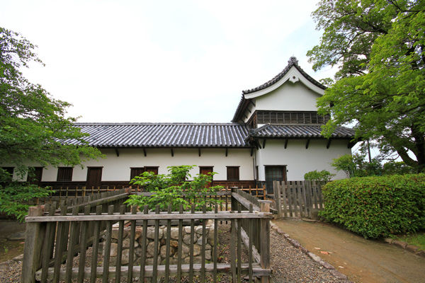 IMG_3411.jpg IMG_3411.jpg