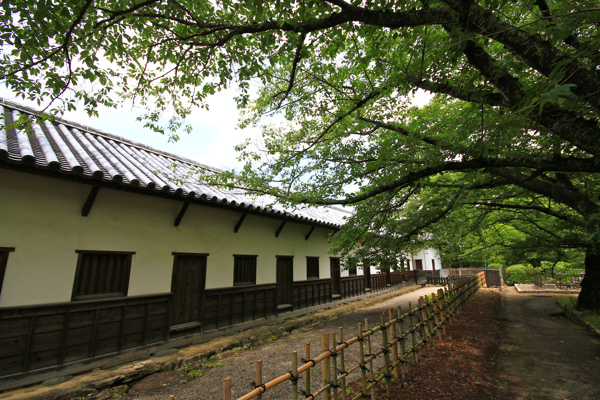 IMG_3426.jpg IMG_3426.jpg