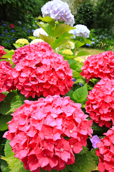 IMG_3435.jpg IMG_3435.jpg