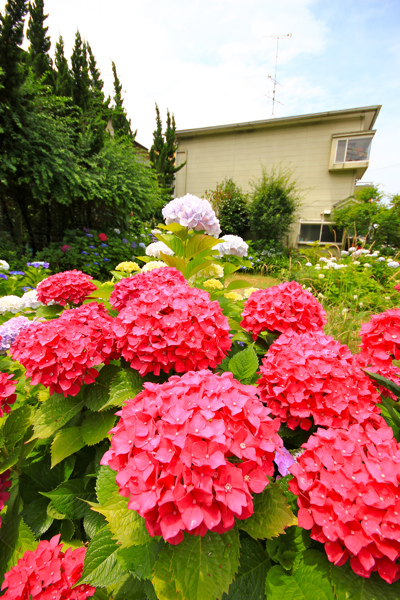 IMG_3436.jpg IMG_3436.jpg