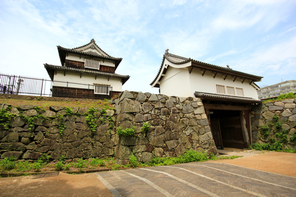 IMG_3449.jpg IMG_3449.jpg