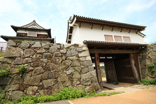 IMG_3452.jpg IMG_3452.jpg