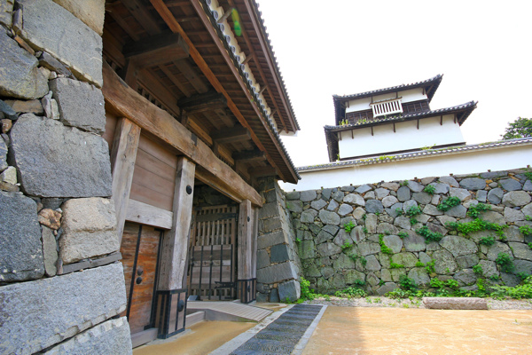 IMG_3459.jpg IMG_3459.jpg