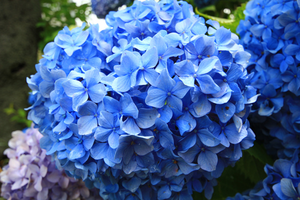 IMG_3467.jpg IMG_3467.jpg