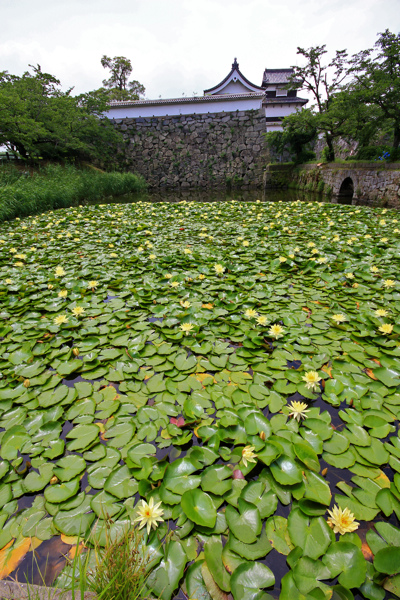 IMG_3469.jpg IMG_3469.jpg