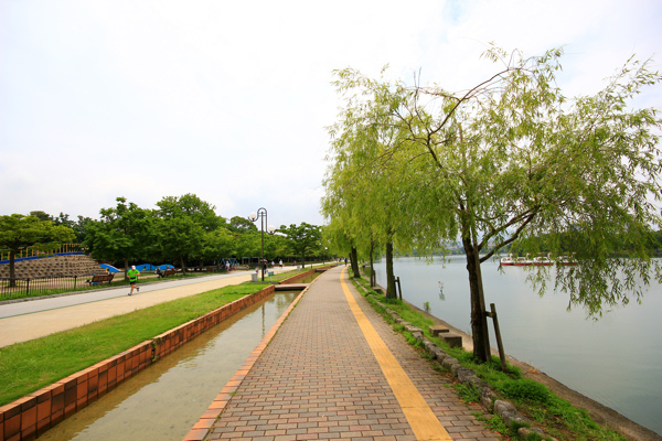 IMG_3481.jpg IMG_3481.jpg