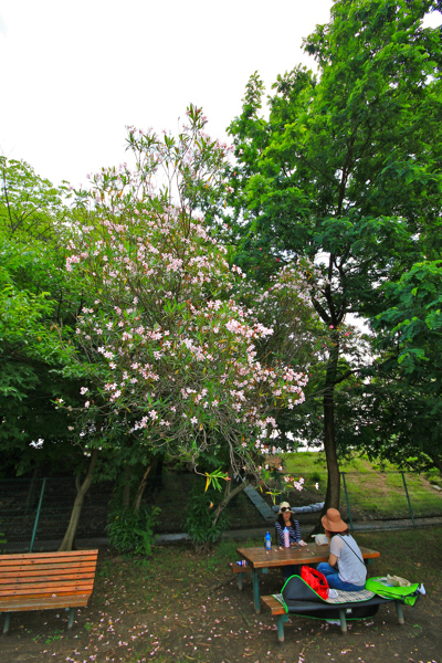 IMG_3503.jpg IMG_3503.jpg