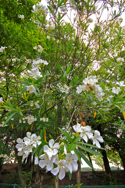 IMG_3505.jpg IMG_3505.jpg