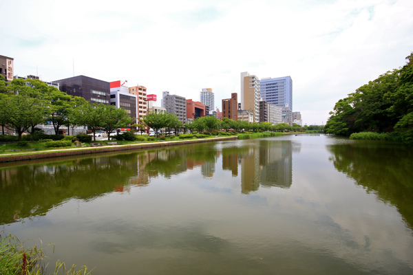 IMG_3513.jpg IMG_3513.jpg