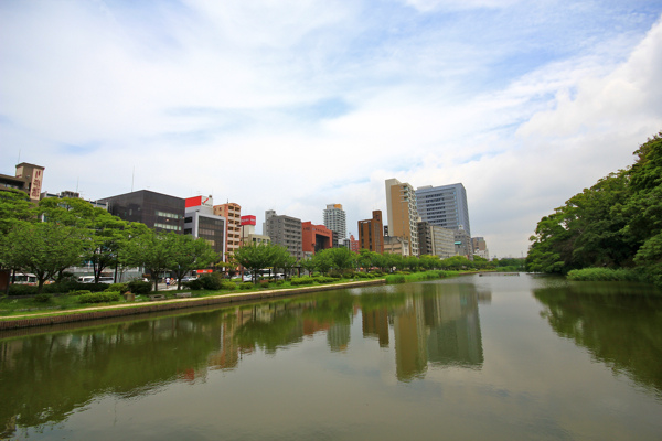 IMG_3517.jpg IMG_3517.jpg