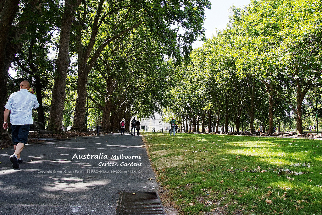 carlton gardens-002.jpg carlton gardens-002.jpg