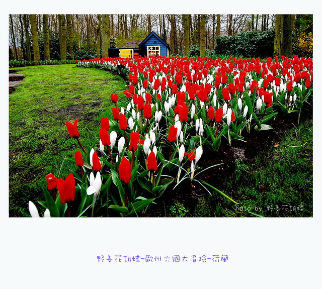 按一下觀看原始大小圖片(熱鍵:n)