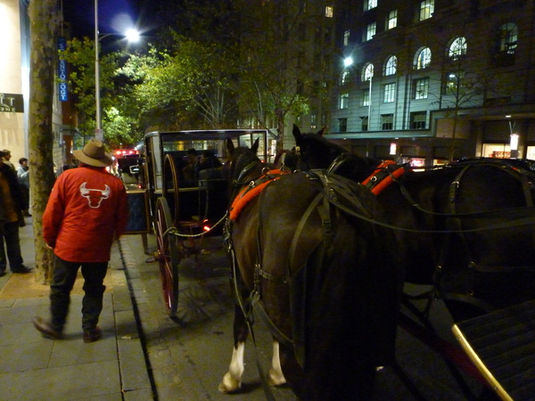 08 0817 china 332.jpg 08 0817 china 332.jpg