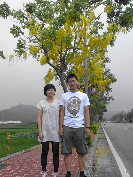 黃金小鎮~ㄚ勃勒盛開