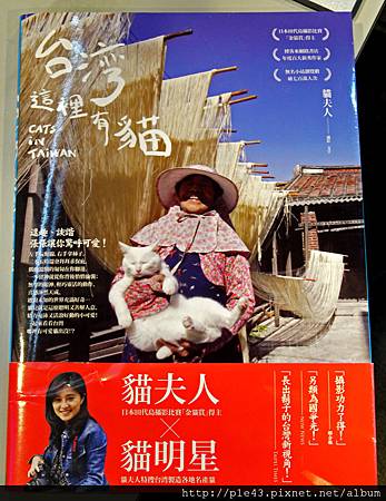 台灣這裡有貓001
