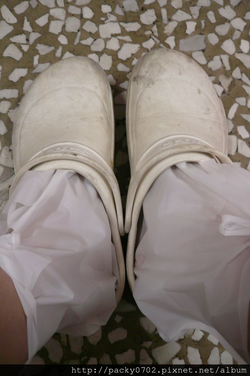 20111119 (9).JPG 20111119 (9).JPG