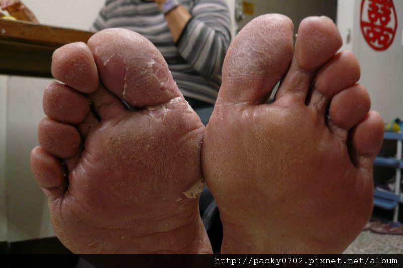 20111123 (1).JPG 20111123 (1).JPG