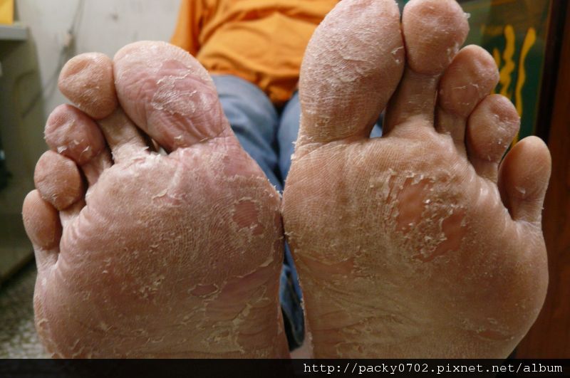 20111124 (2).JPG 20111124 (2).JPG