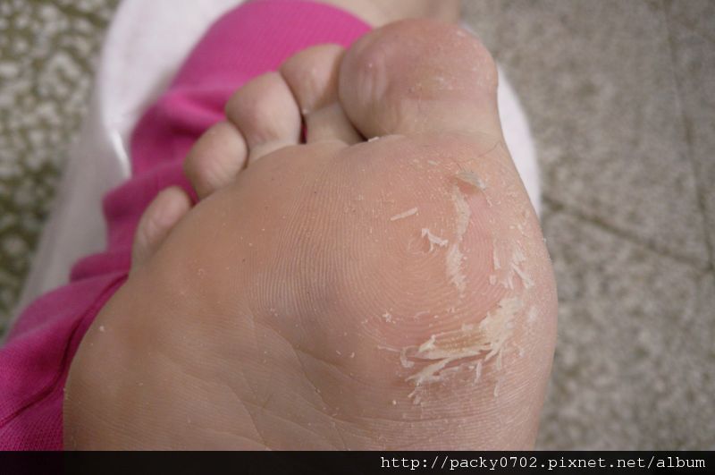 20111126 (1).JPG 20111126 (1).JPG