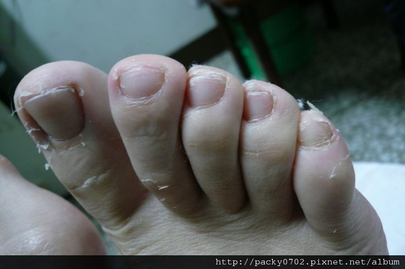 20111127 (2).JPG 20111127 (2).JPG