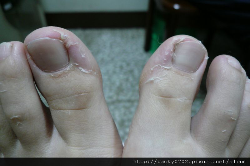 20111127 (1).JPG 20111127 (1).JPG