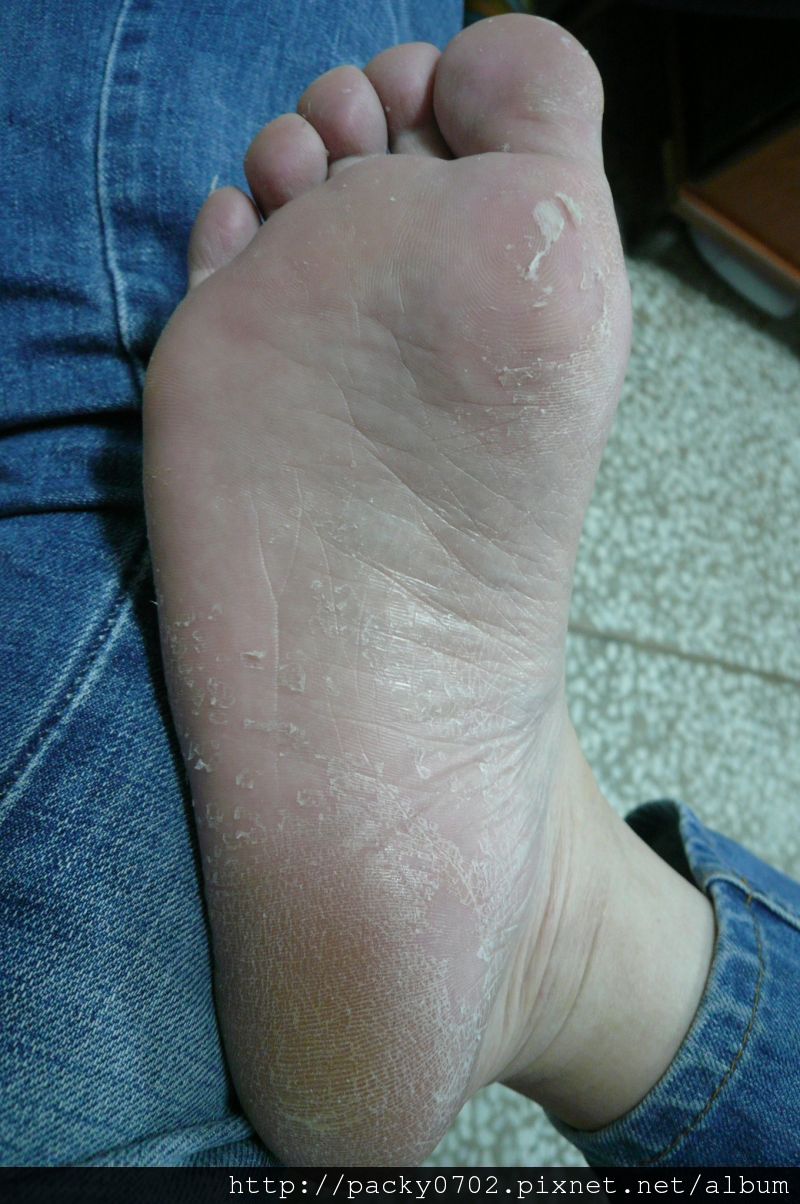 20111127 (4).JPG 20111127 (4).JPG