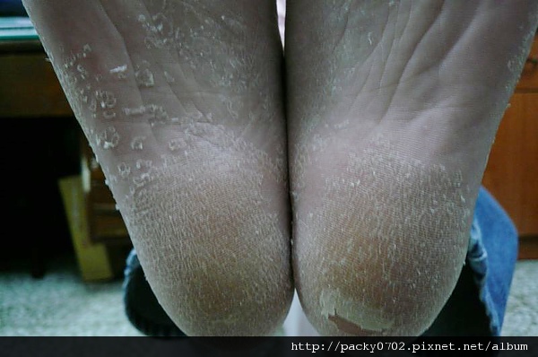 20111127 (3).JPG 20111127 (3).JPG