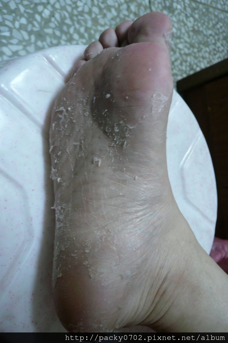 20111129 (2).JPG 20111129 (2).JPG