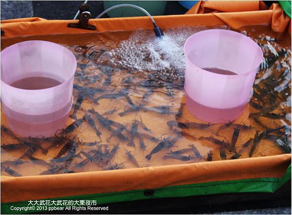 大大武花大武花的大東夜市