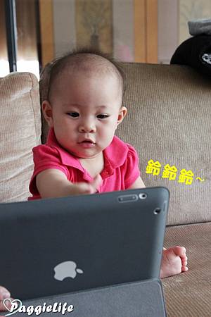 IMG_9233 IMG_9233