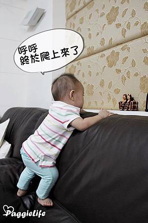a1 _MG_1472 a1 _MG_1472