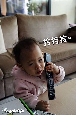 _MG_0498 _MG_0498