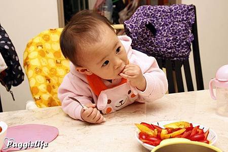 _MG_1781 _MG_1781