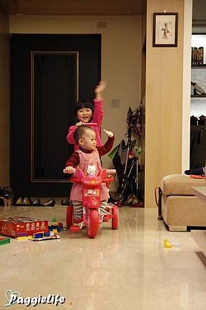1_MG_1876 1_MG_1876