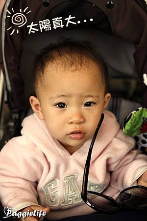 _MG_1826 _MG_1826