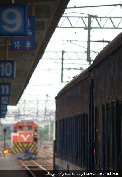 DSC09062.JPG