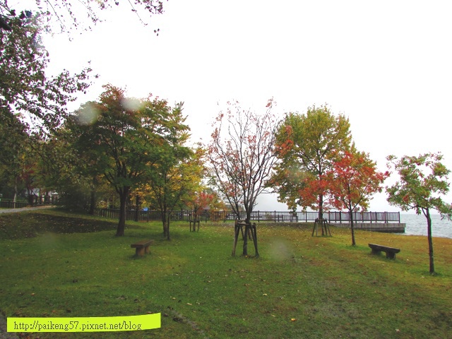 IMG_8125 IMG_8125