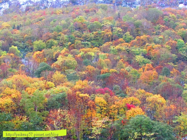 IMG_8584 IMG_8584