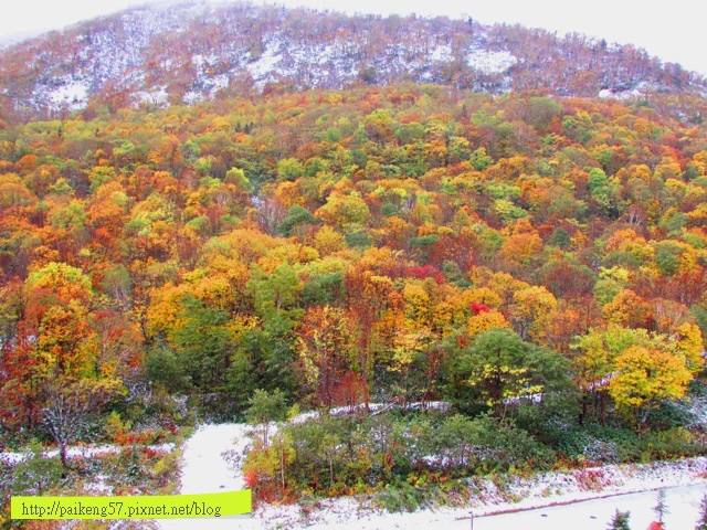 IMG_8576 IMG_8576
