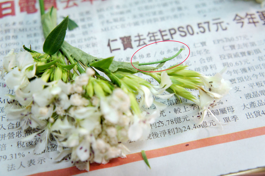 DSC05187-1 DSC05187-1