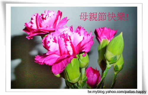 A1OAx1x73Dm87Boij0s8Og