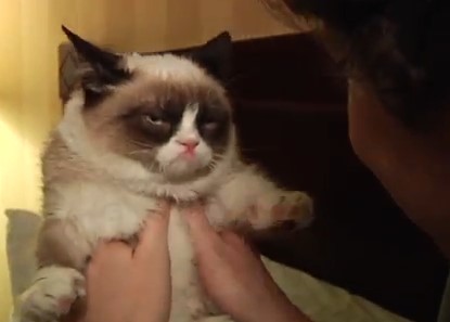 天子特區33 (9) 天子特區33 (9)